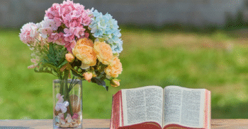 🌿 Liturgia do Dia – Quinta-feira da 30ª Semana do Tempo Comum