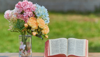 🌿 Liturgia do Dia – Quinta-feira da 30ª Semana do Tempo Comum